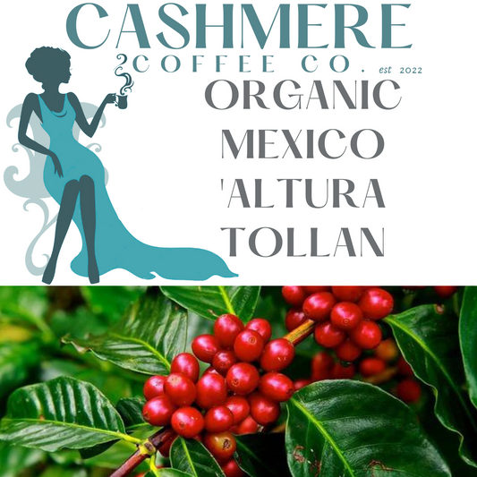 Organic Mexico 'Altura Tollan'