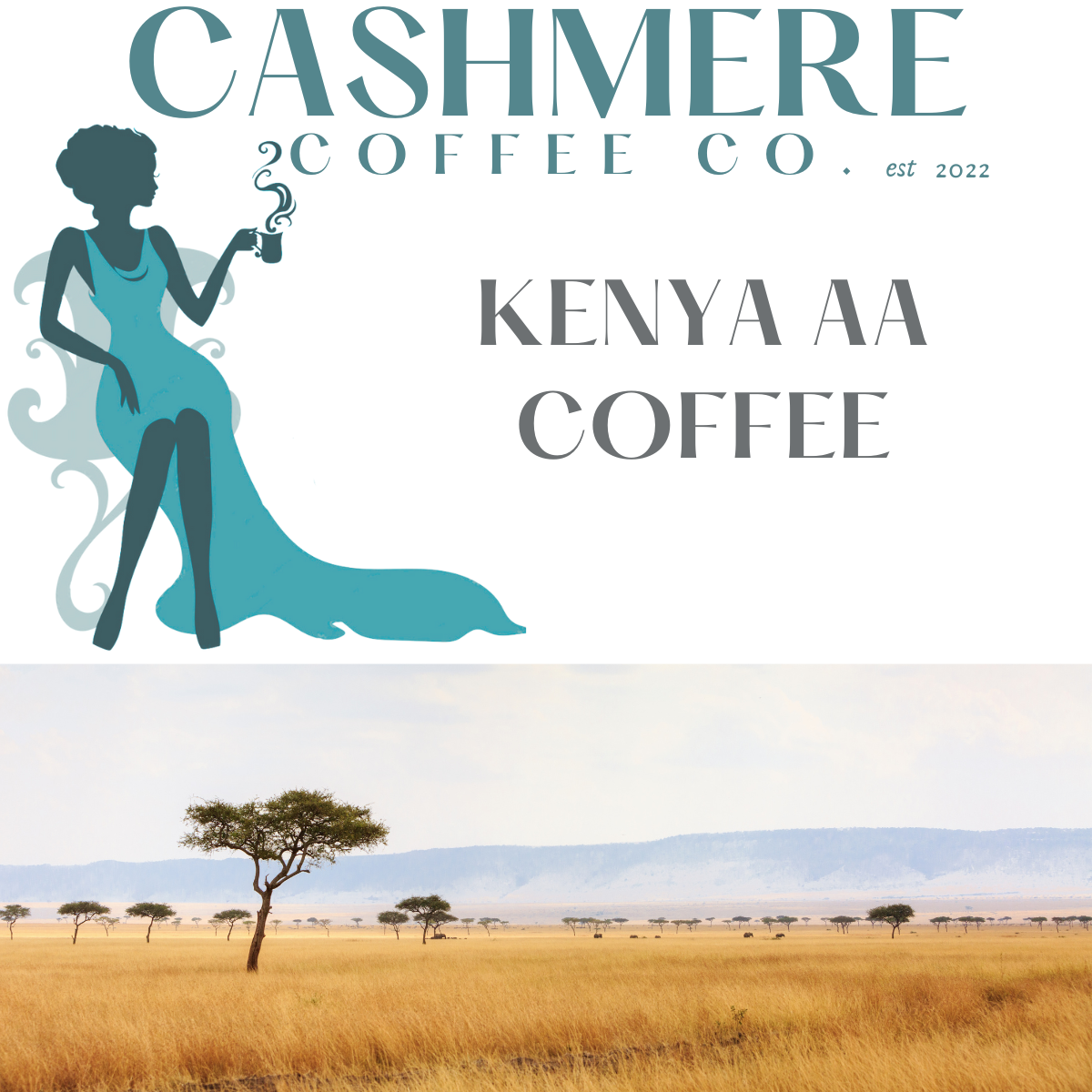 Kenya AA