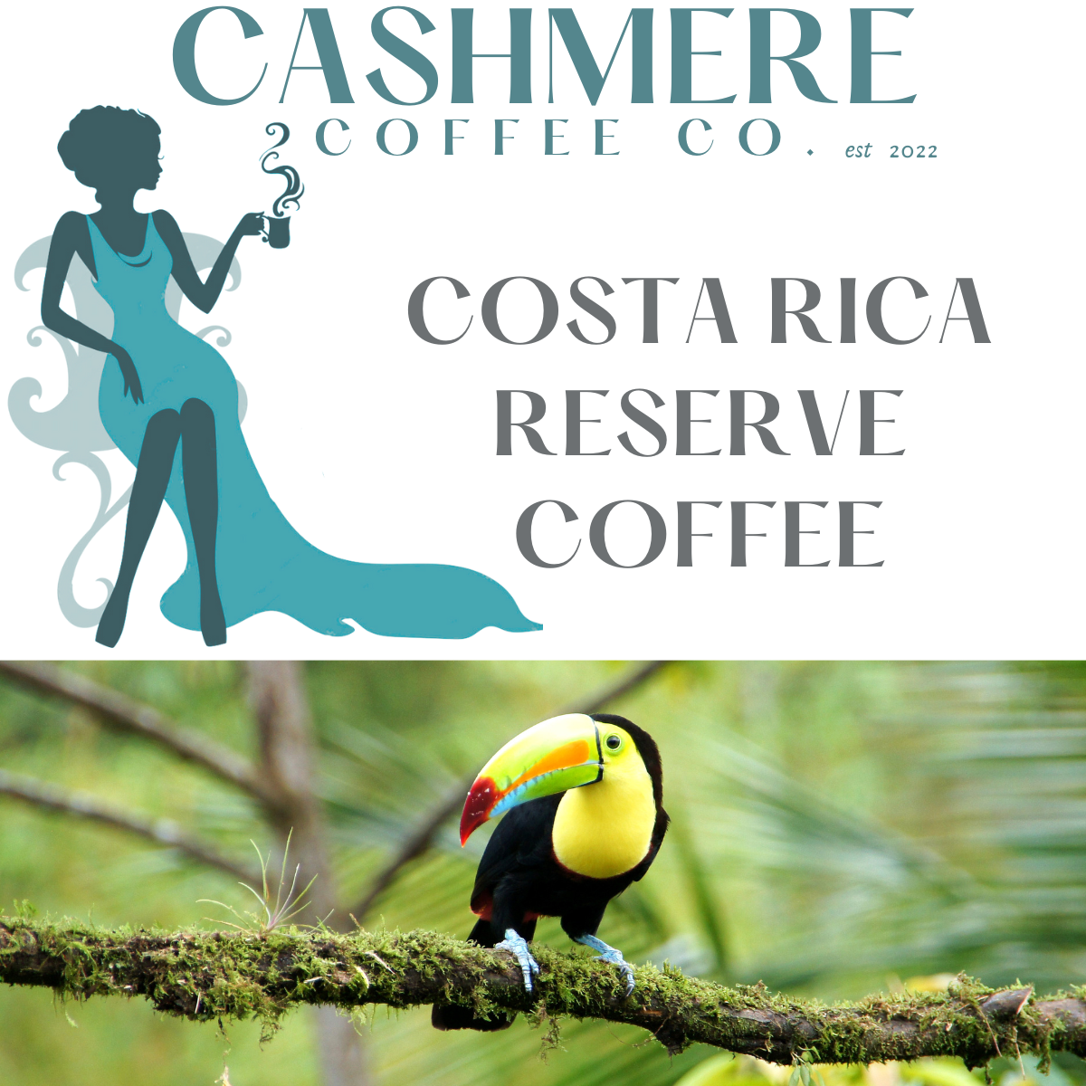 Costa Rica Reserve Coffee