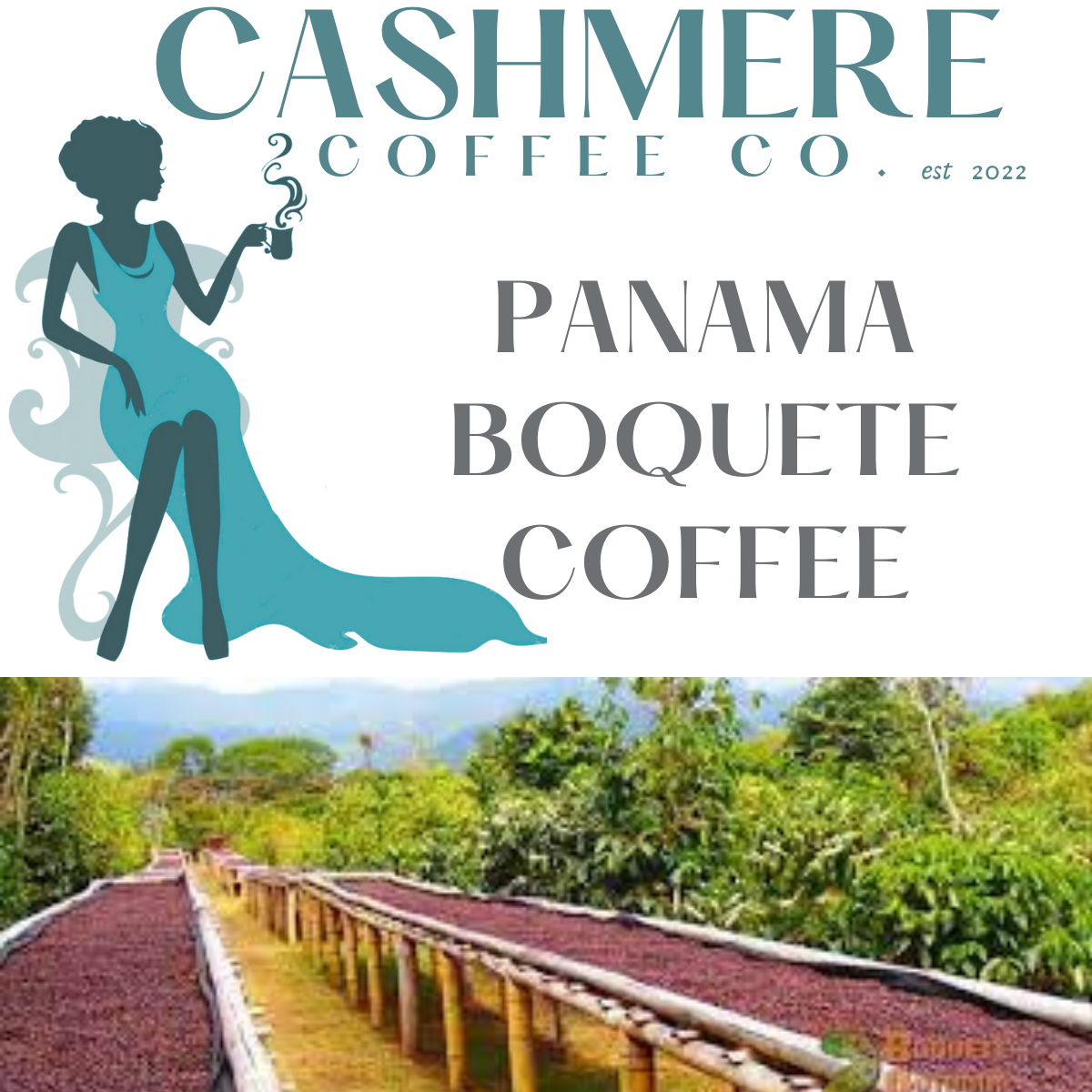 Panama Boquete Coffee